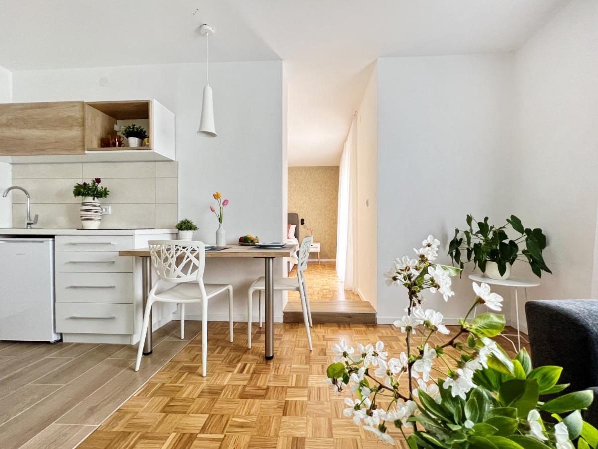 Apartments Valerian Novigrad Istria 外观 照片